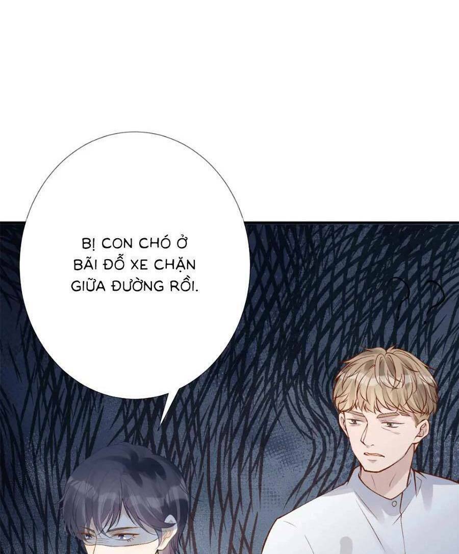 Ôm Khẩn Tiểu Mã Giáp Của Tôi Chapter 166 - Trang 2