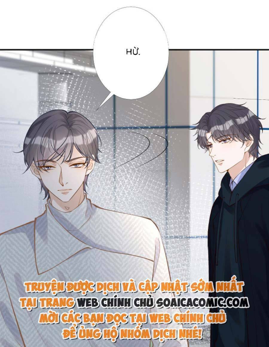 Ôm Khẩn Tiểu Mã Giáp Của Tôi Chapter 139 - Trang 2