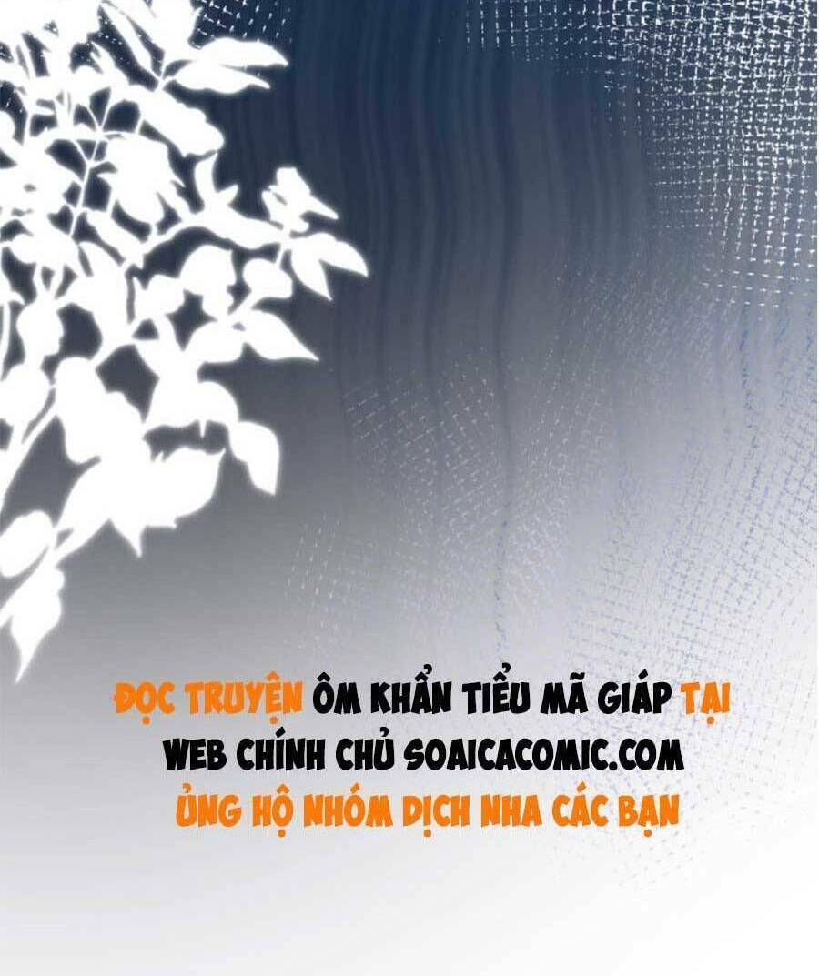 Ôm Khẩn Tiểu Mã Giáp Của Tôi Chapter 86 - Trang 2