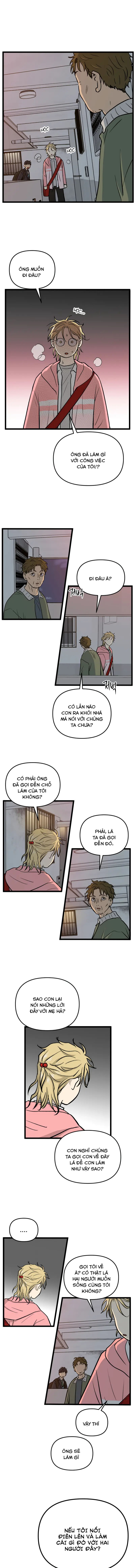 No Home Chapter 255 - Trang 2