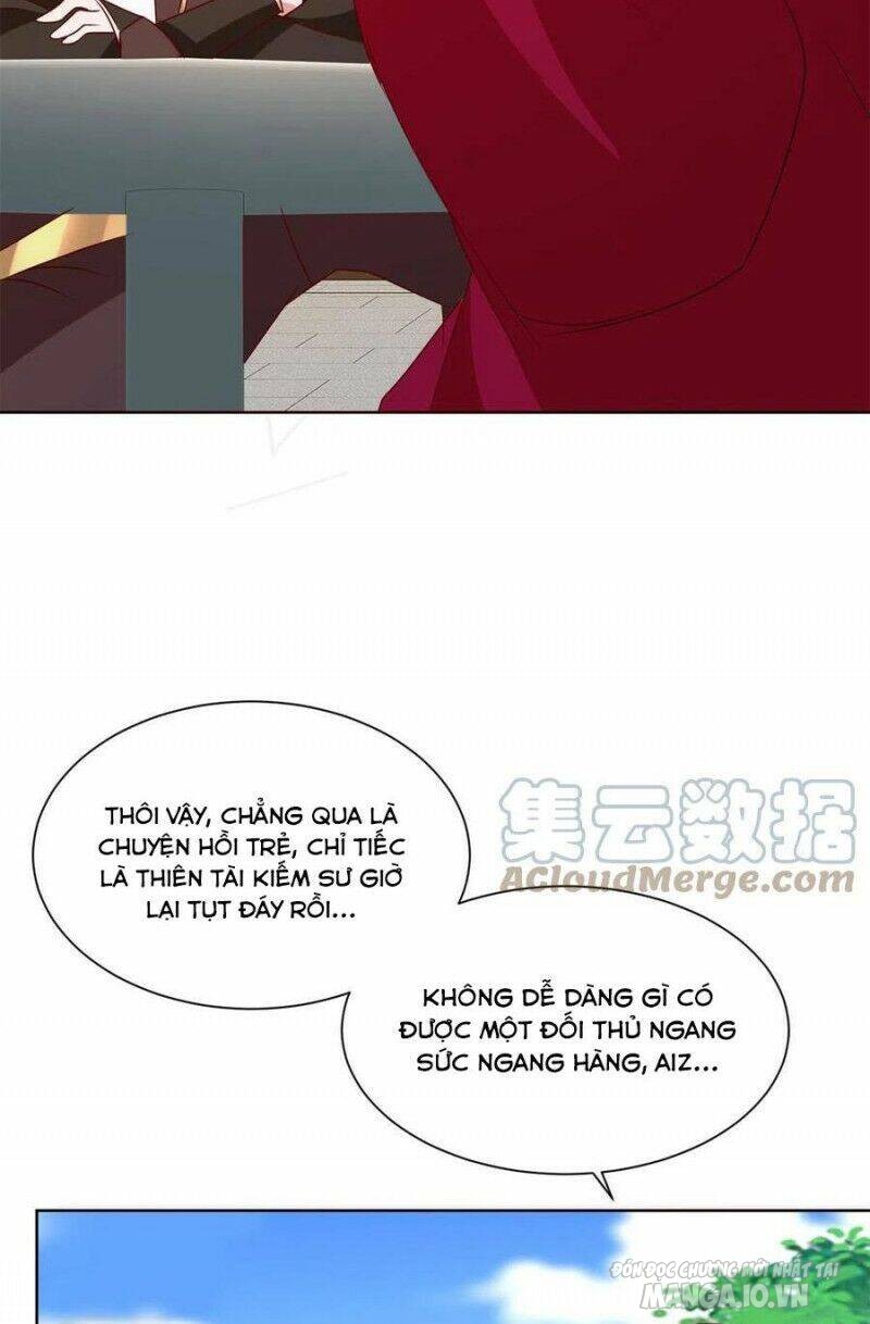 Mục Long Sư Chapter 231 - Trang 2