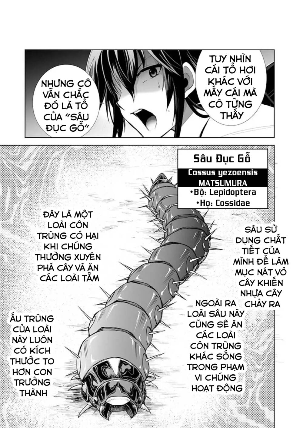 DãY NúI Côn TrùNg Chapter 25 - Trang 2