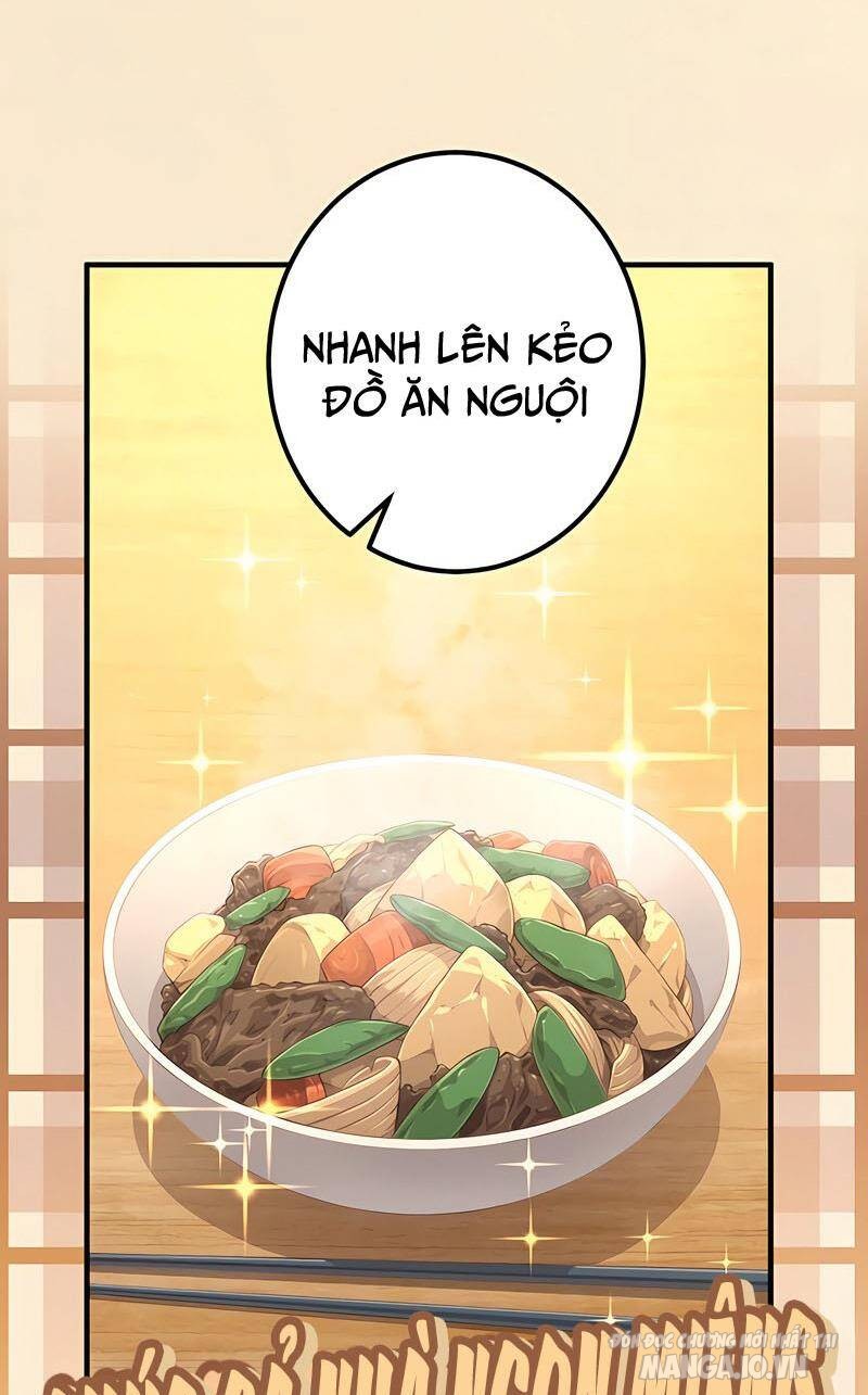 Sự Tái Sinh Của Đại Pháp Sư Bị Phong Ấn Chapter 46 - Trang 2