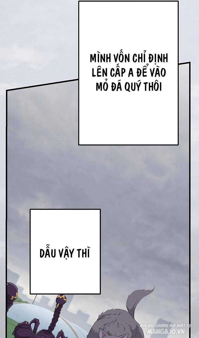 Sự Tái Sinh Của Đại Pháp Sư Bị Phong Ấn Chapter 43 - Trang 2