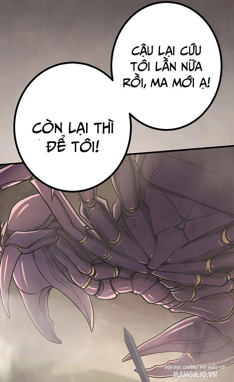 Sự Tái Sinh Của Đại Pháp Sư Bị Phong Ấn Chapter 43 - Trang 2