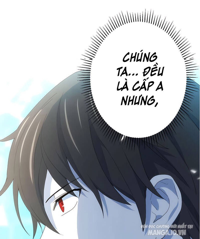 Sự Tái Sinh Của Đại Pháp Sư Bị Phong Ấn Chapter 31 - Trang 2