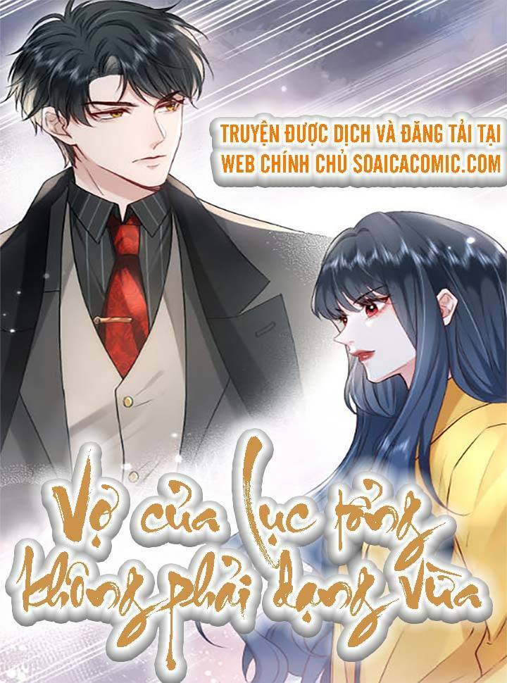 Vợ Của Lục Tổng Không Phải Dạng Vừa Chapter 2 - Trang 2