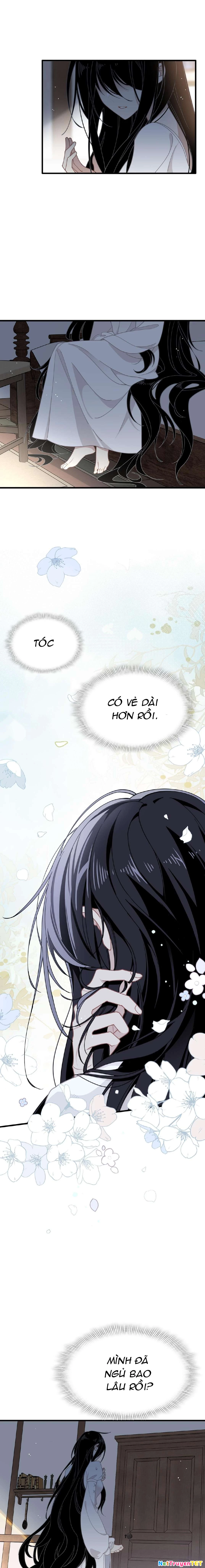 Xuyên Thành Phù Thủy Nuôi Dưỡng Kỵ Sĩ Thánh Điện Chapter 48 - Trang 2