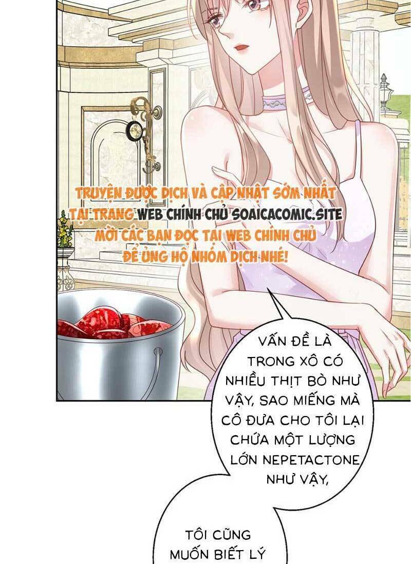 Thiên Kim Toàn Năng Trọng Sinh Chapter 6 - Trang 2