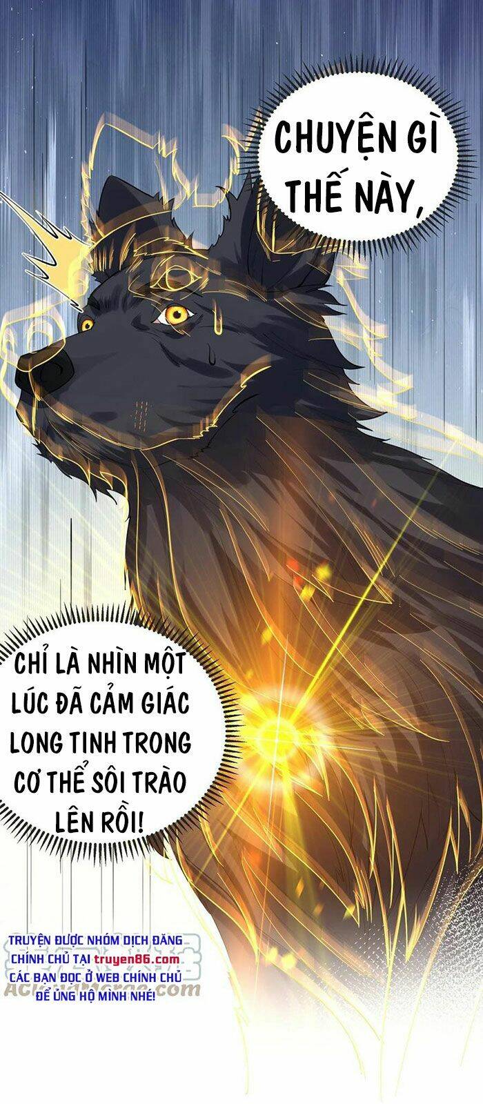 Ta Vô Địch Lúc Nào Chapter 37 - Trang 2