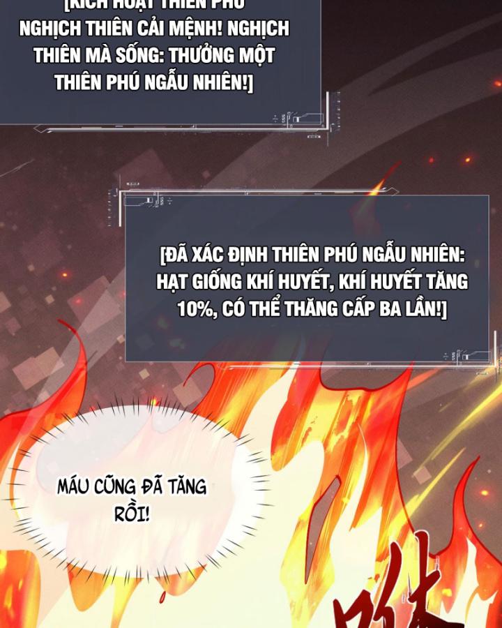 Toàn Chức Kiếm Tu Chapter 3 - Trang 2