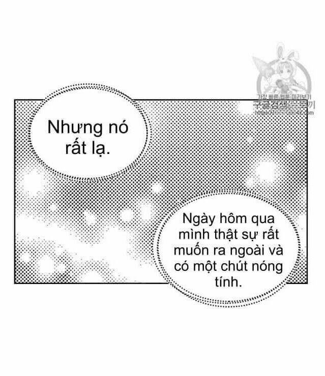 Luật Của Tiểu Thuyết Mạng Chapter 53 - Trang 2