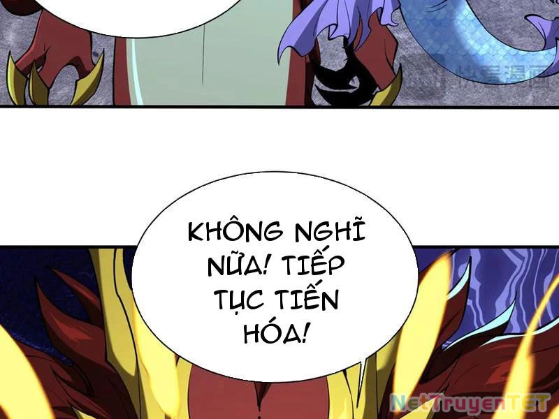 Linh Khí Khôi Phục: Từ Cá Chép Tiến Hóa Thành Thần Long Chapter 43 - Trang 2