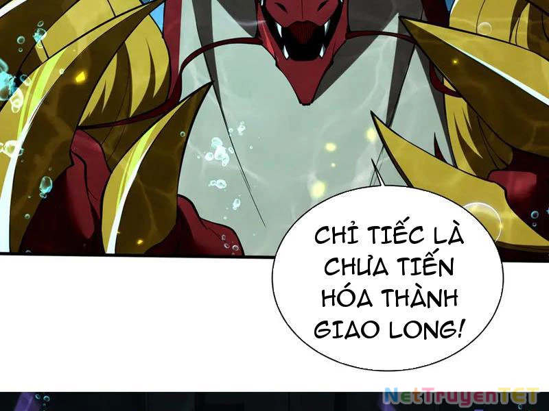 Linh Khí Khôi Phục: Từ Cá Chép Tiến Hóa Thành Thần Long Chapter 43 - Trang 2