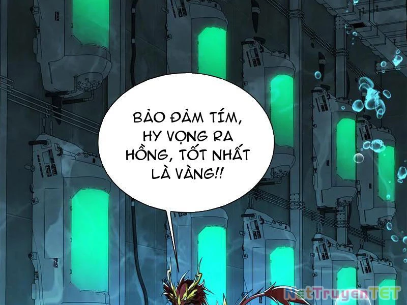 Linh Khí Khôi Phục: Từ Cá Chép Tiến Hóa Thành Thần Long Chapter 43 - Trang 2