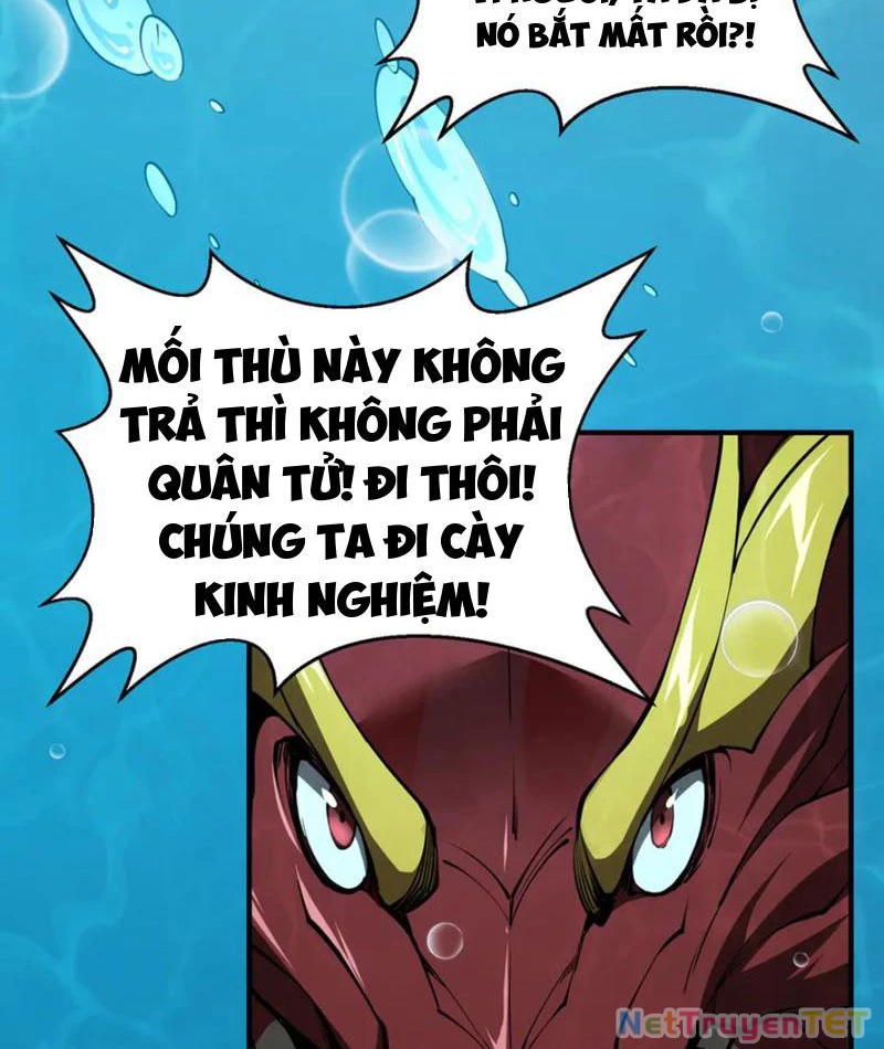 Linh Khí Khôi Phục: Từ Cá Chép Tiến Hóa Thành Thần Long Chapter 40 - Trang 2