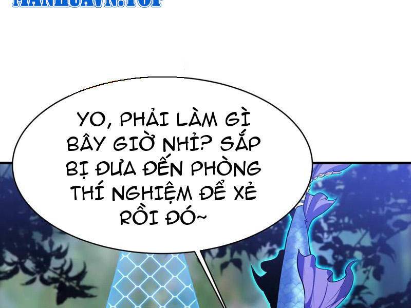 Linh Khí Khôi Phục: Từ Cá Chép Tiến Hóa Thành Thần Long Chapter 22 - Trang 2