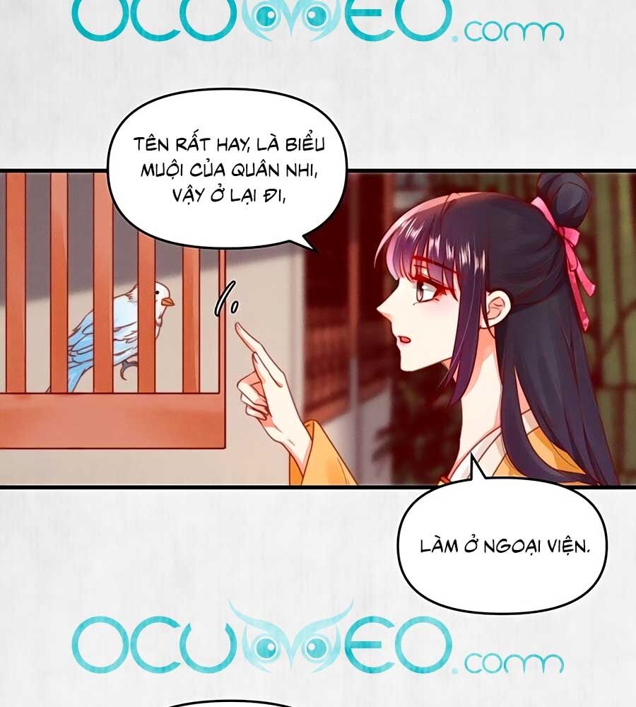 Hoạn Phi Hoàn Triều Chapter 93 - Trang 2