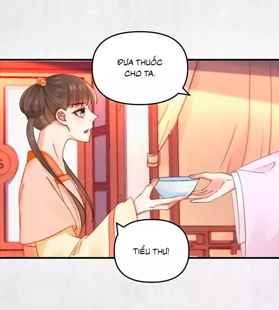 Hoạn Phi Hoàn Triều Chapter 61 - Trang 2