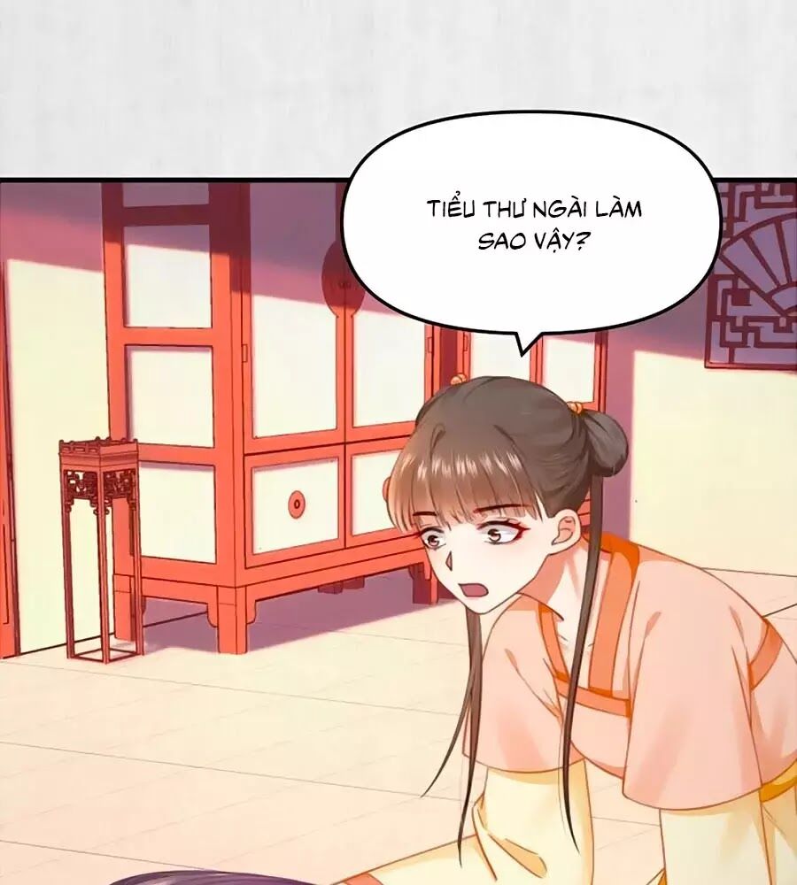 Hoạn Phi Hoàn Triều Chapter 61 - Trang 2