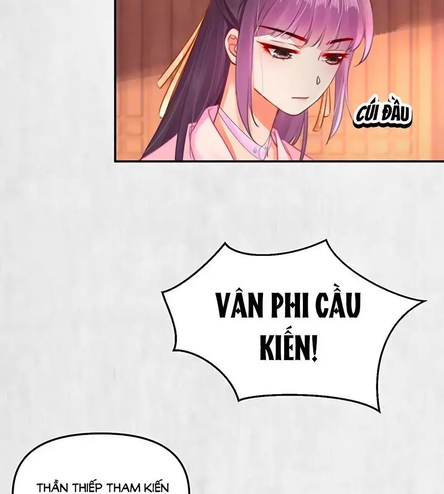 Hoạn Phi Hoàn Triều Chapter 49 - Trang 2