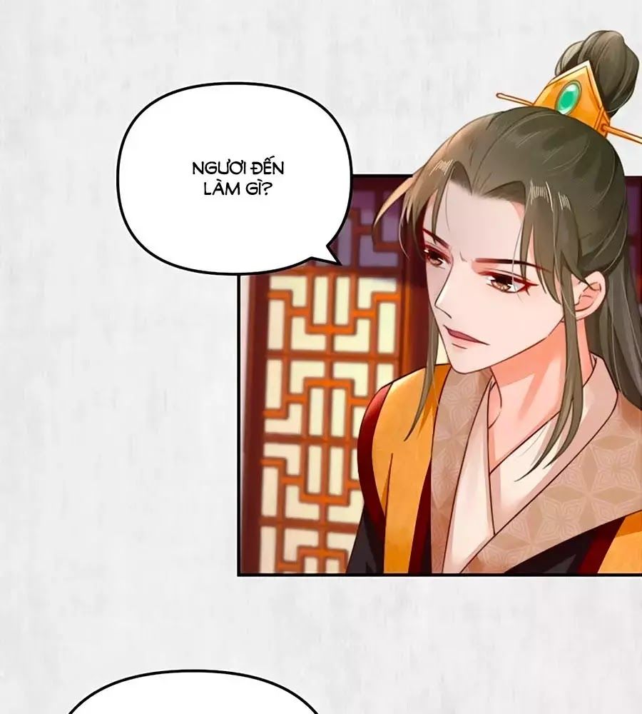 Hoạn Phi Hoàn Triều Chapter 49 - Trang 2