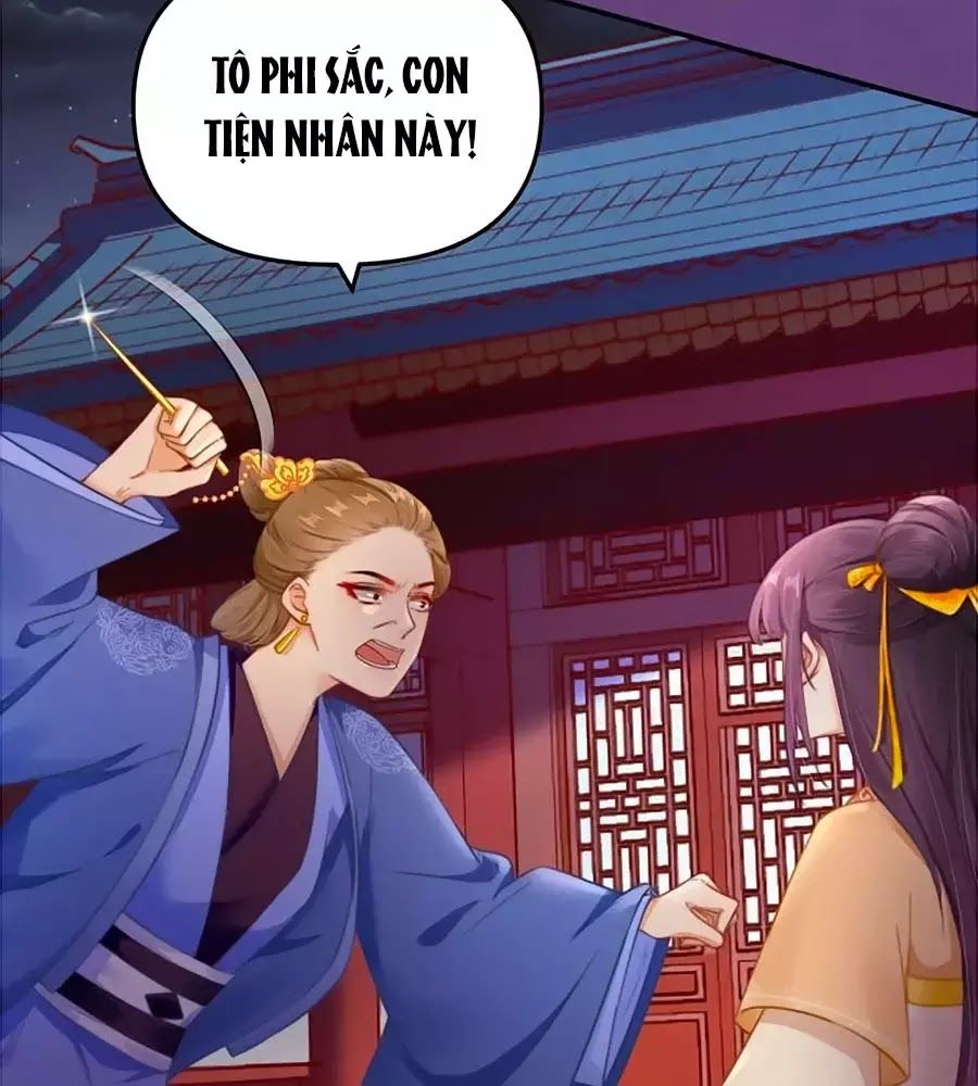 Hoạn Phi Hoàn Triều Chapter 49 - Trang 2