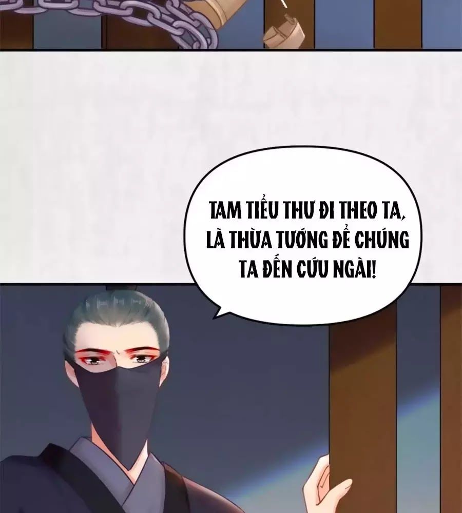 Hoạn Phi Hoàn Triều Chapter 47 - Trang 2