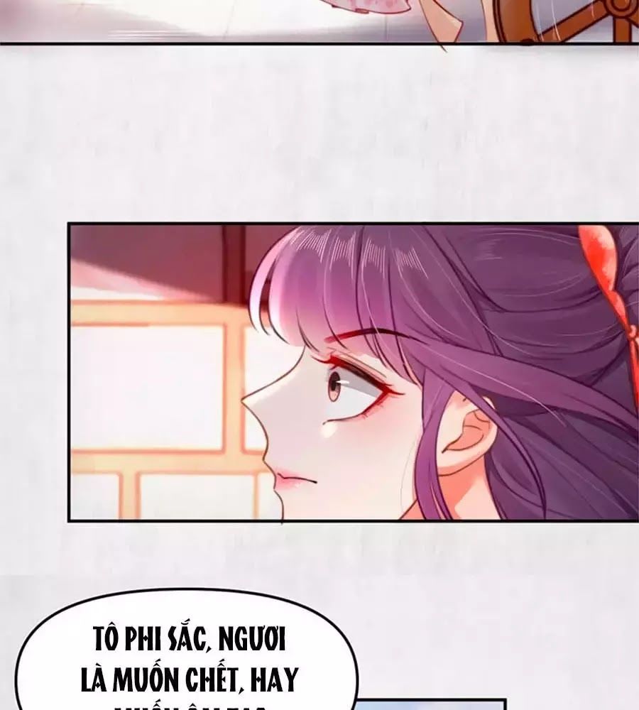 Hoạn Phi Hoàn Triều Chapter 44 - Trang 2