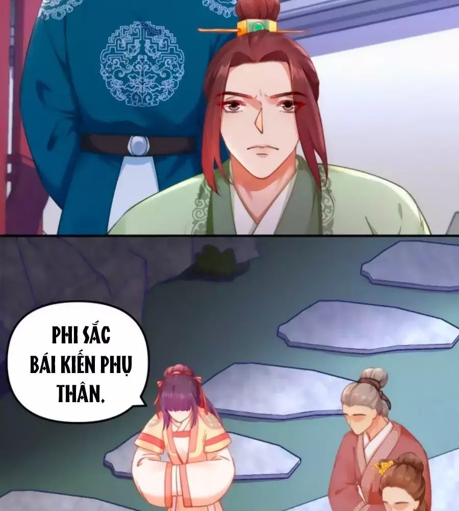 Hoạn Phi Hoàn Triều Chapter 43 - Trang 2