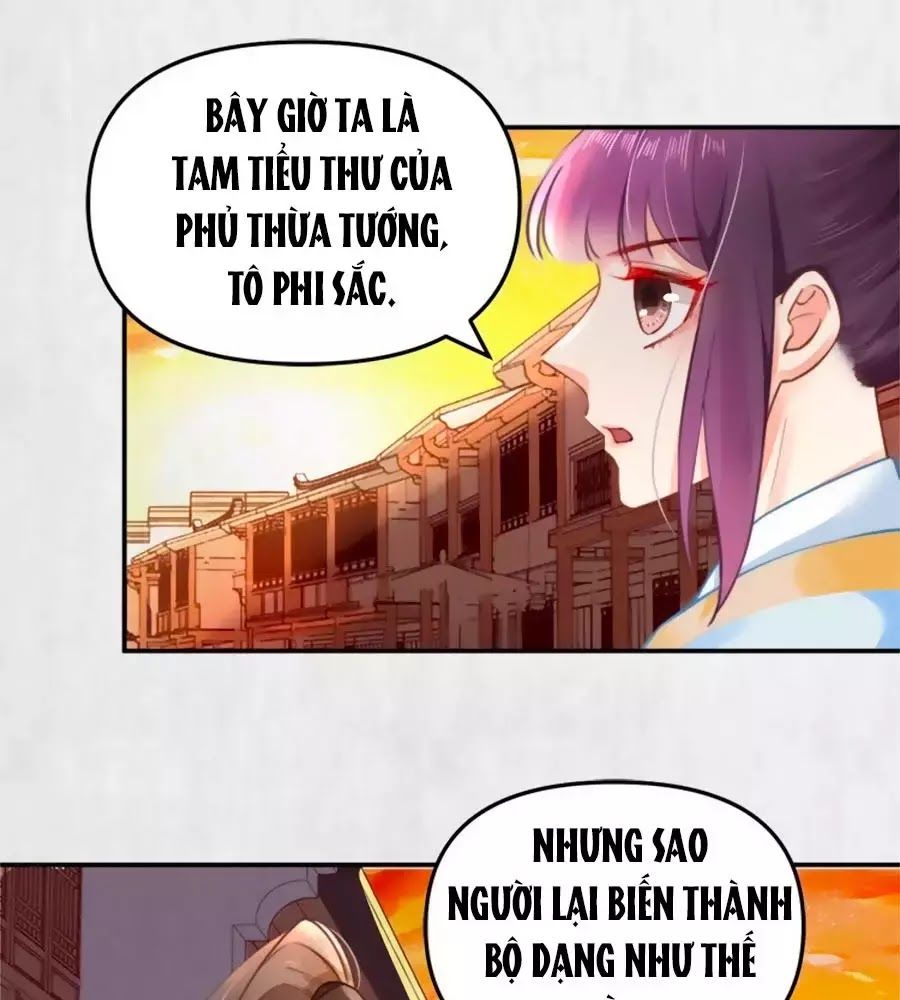 Hoạn Phi Hoàn Triều Chapter 39 - Trang 2