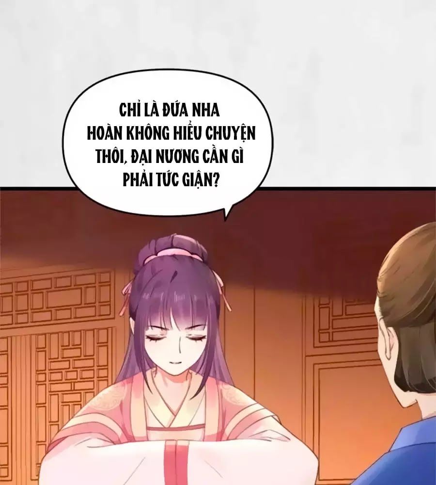 Hoạn Phi Hoàn Triều Chapter 32 - Trang 2