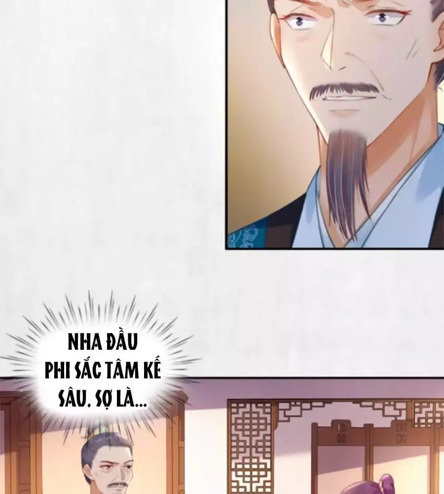 Hoạn Phi Hoàn Triều Chapter 31 - Trang 2