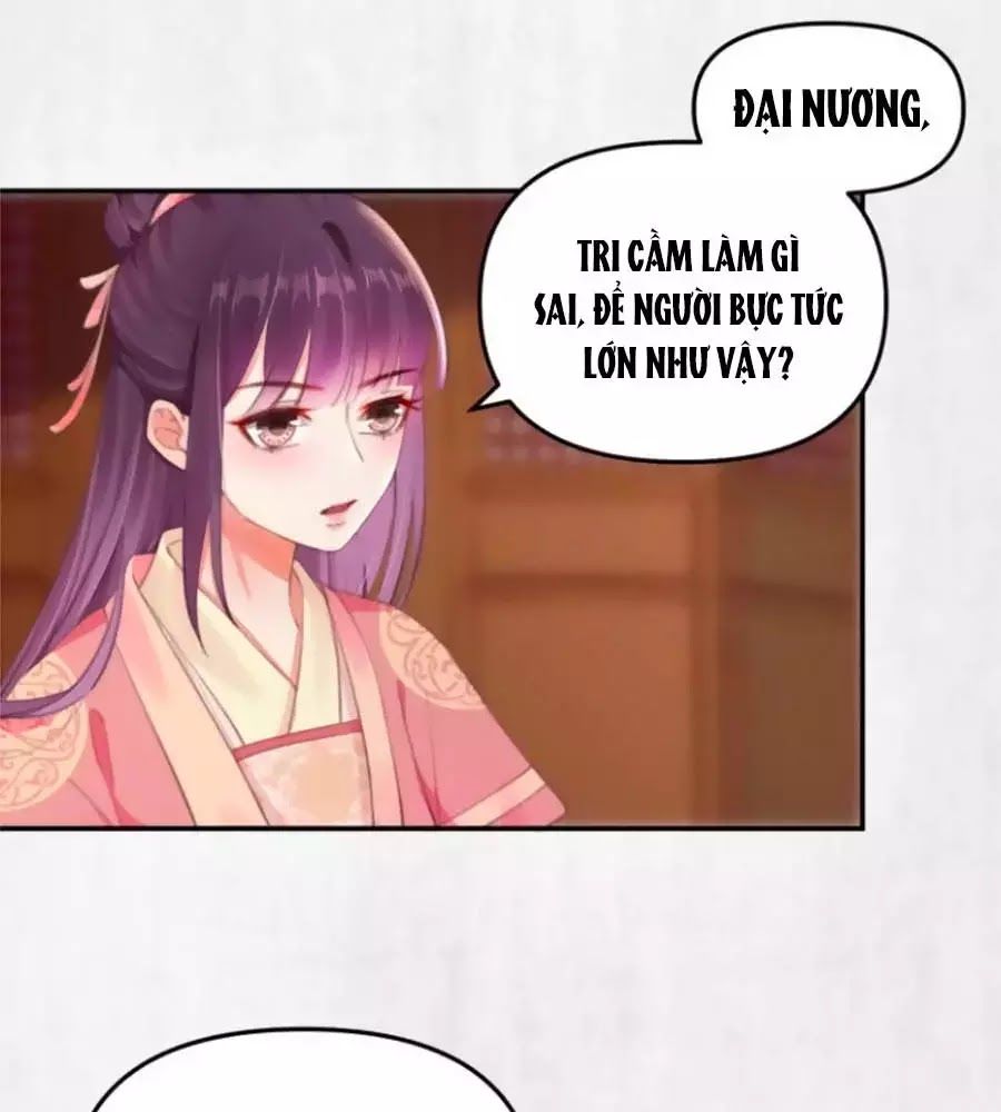 Hoạn Phi Hoàn Triều Chapter 31 - Trang 2