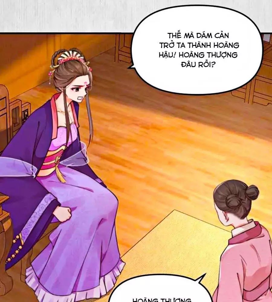 Hoạn Phi Hoàn Triều Chapter 23 - Trang 2