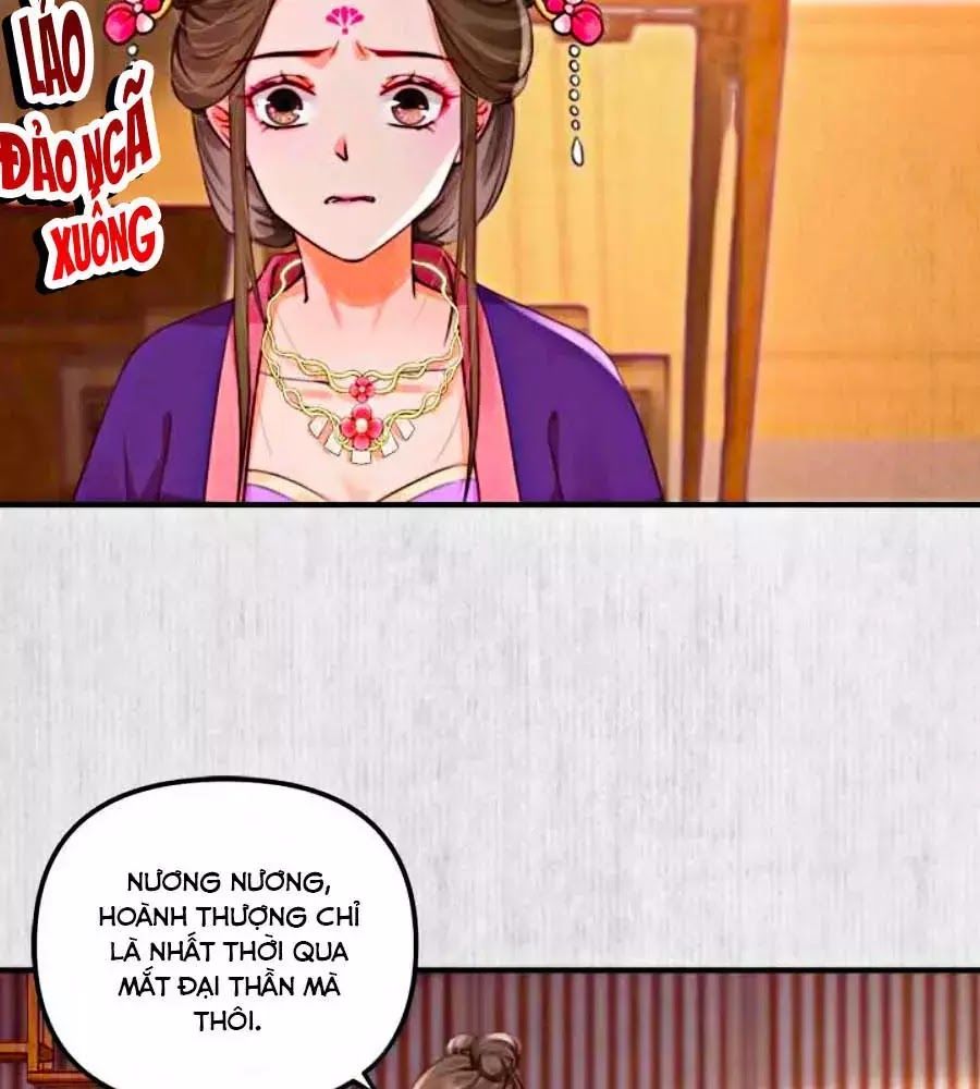 Hoạn Phi Hoàn Triều Chapter 23 - Trang 2