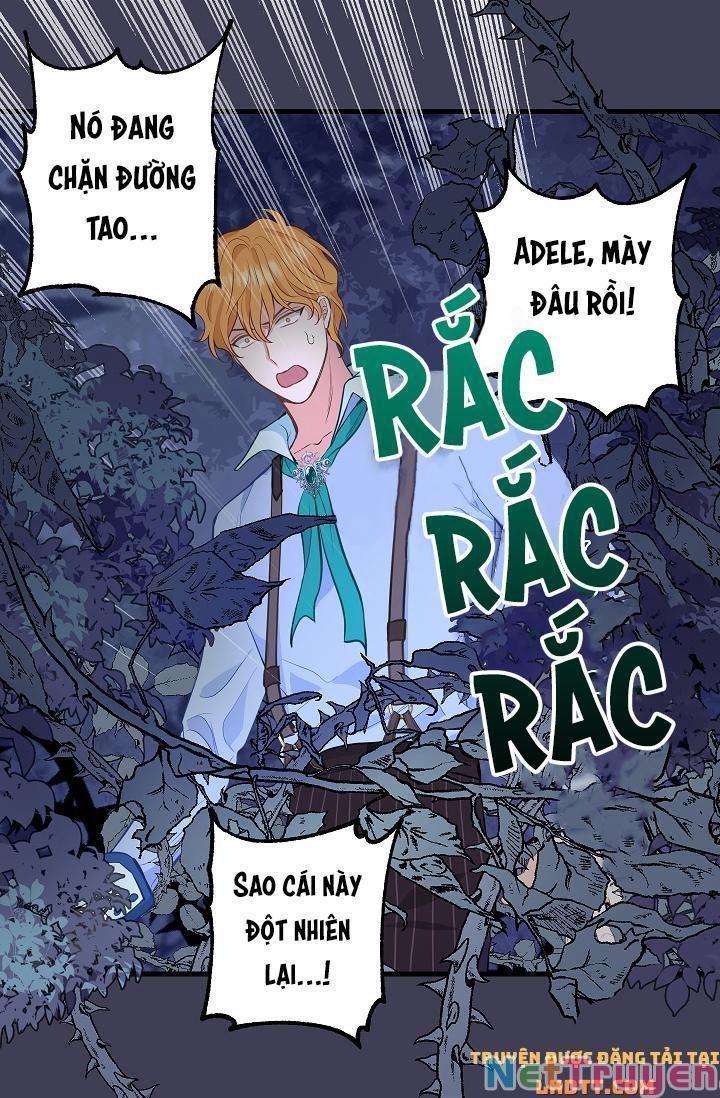 Hãy Bỏ Mặc Tôi Chapter 49 - Trang 2