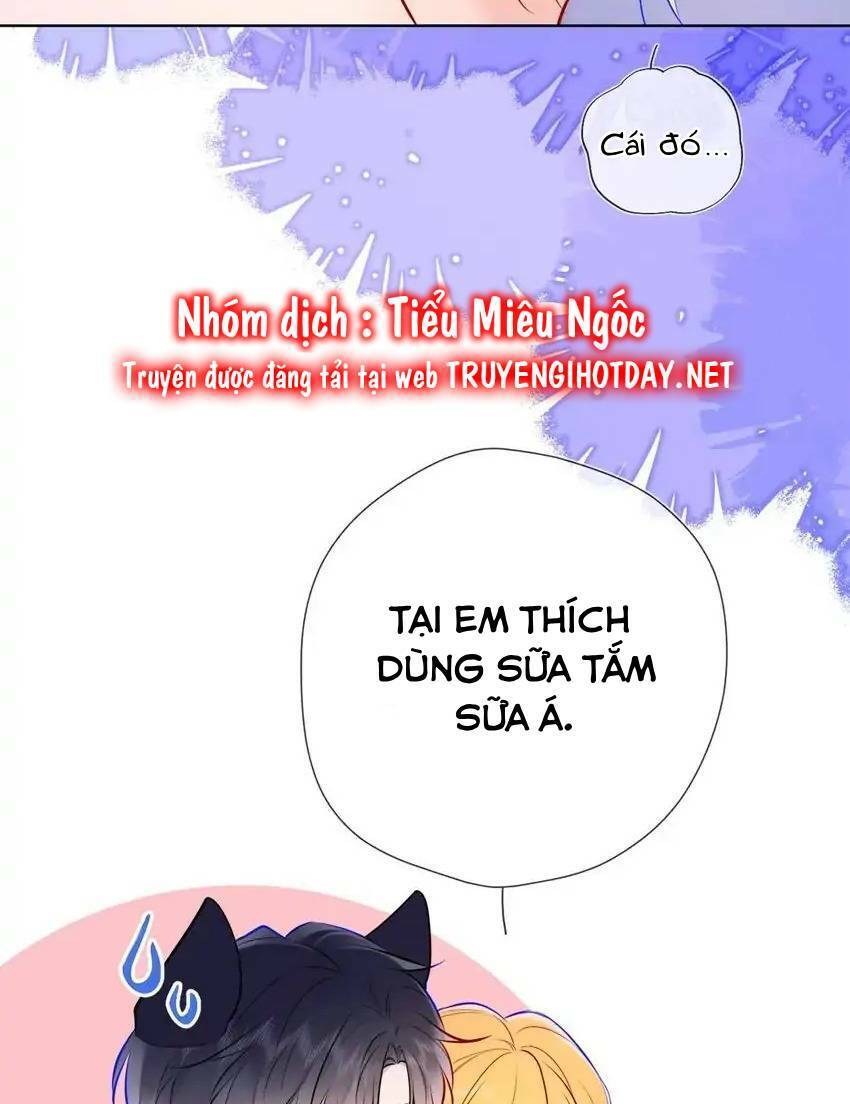 Ngôi Sao Cho Tôi Chapter 144 - Trang 2