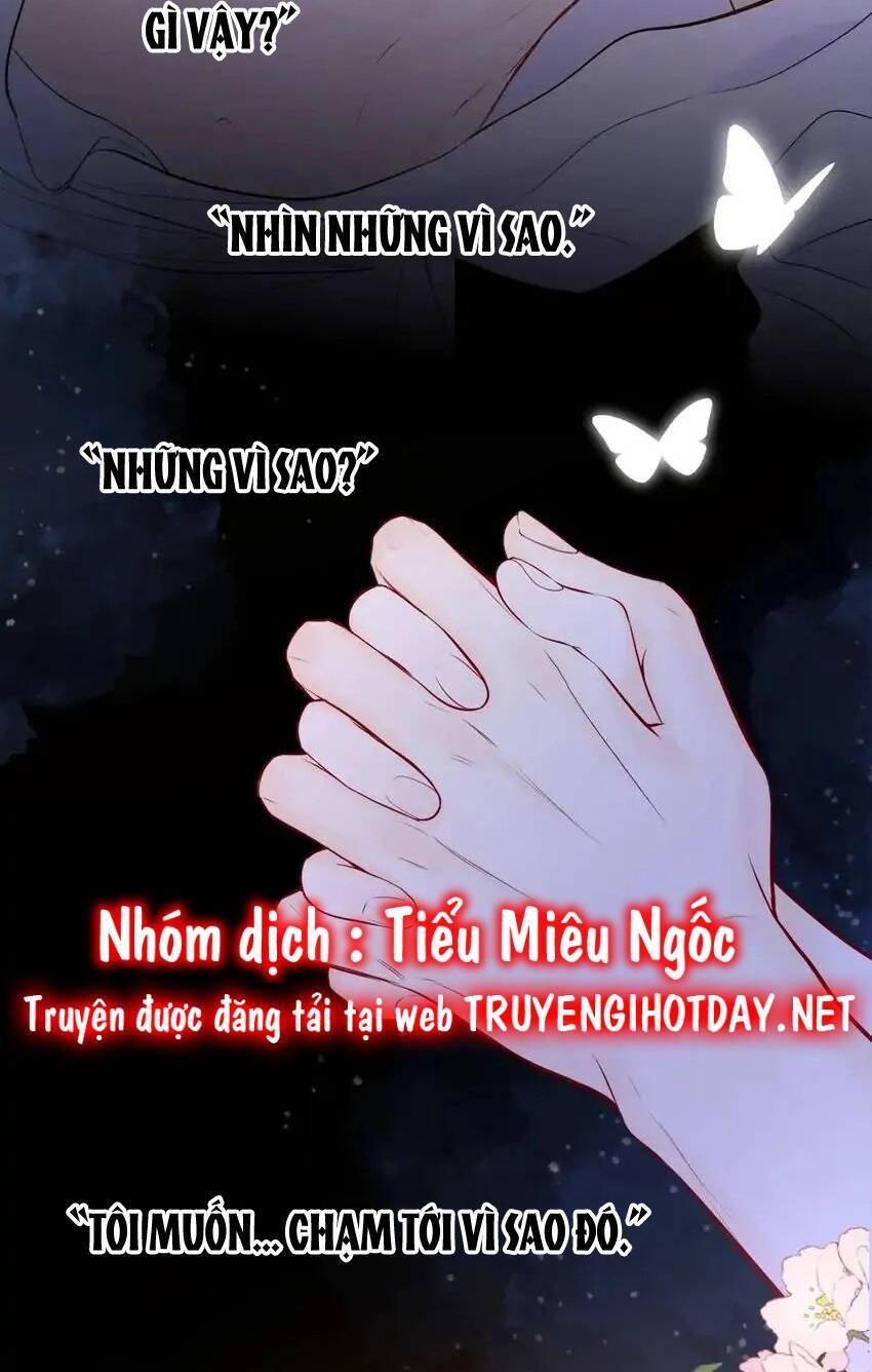 Ngôi Sao Cho Tôi Chapter 138 - Trang 2