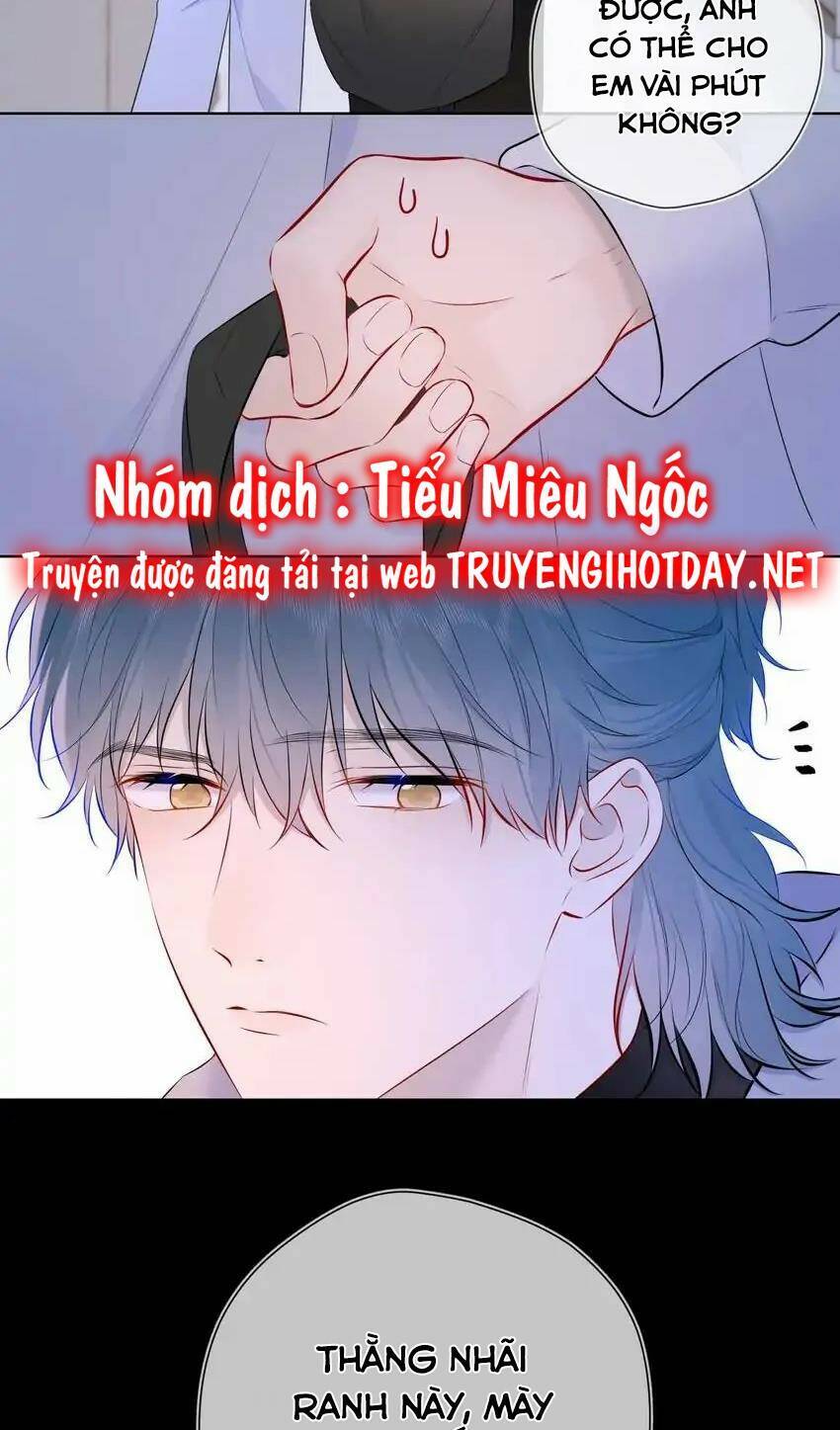 Ngôi Sao Cho Tôi Chapter 135 - Trang 2