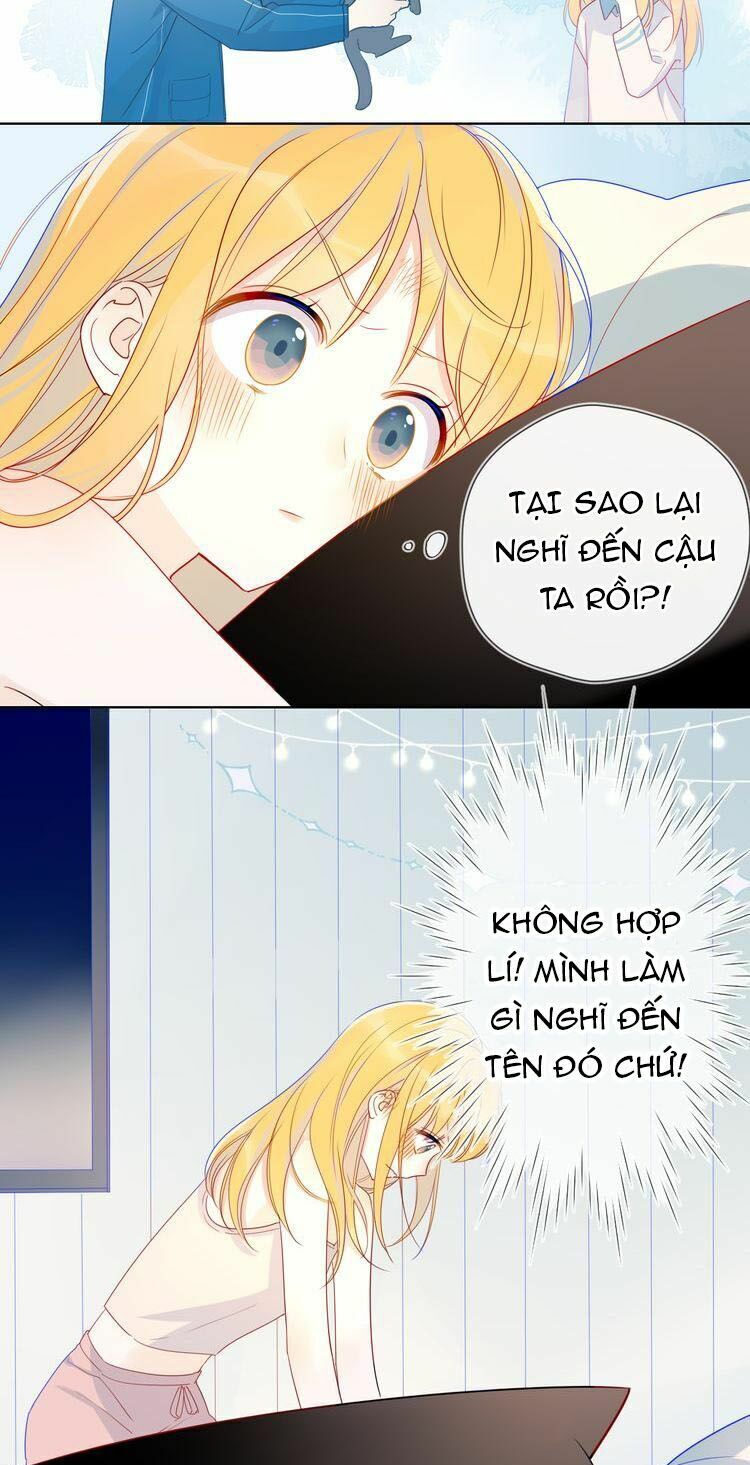 Ngôi Sao Cho Tôi Chapter 6 - Trang 2