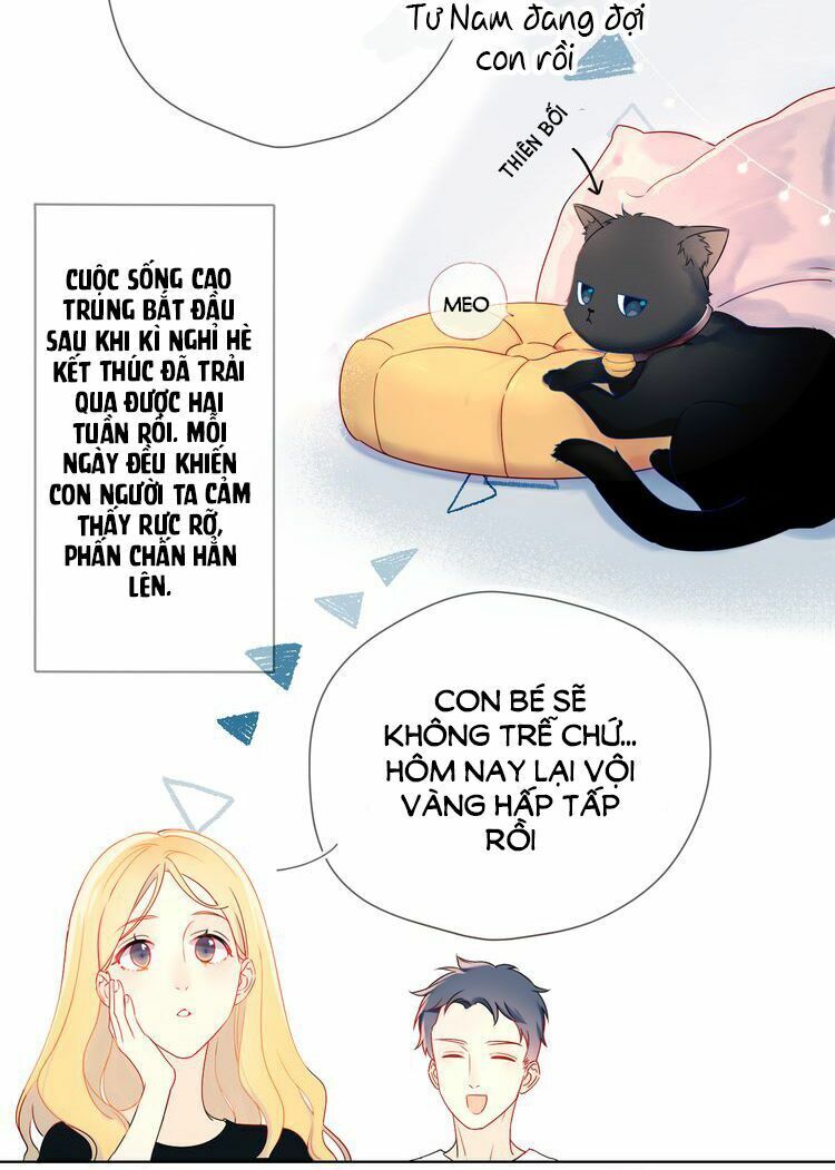 Ngôi Sao Cho Tôi Chapter 1 - Trang 2