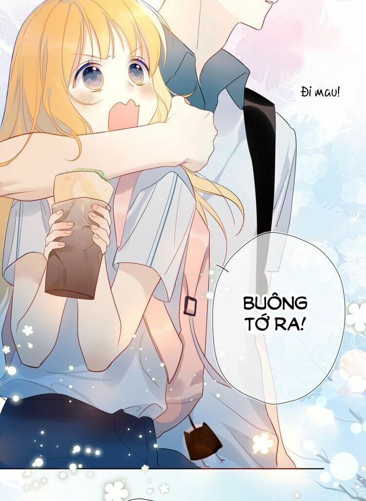 Ngôi Sao Cho Tôi Chapter 1 - Trang 2