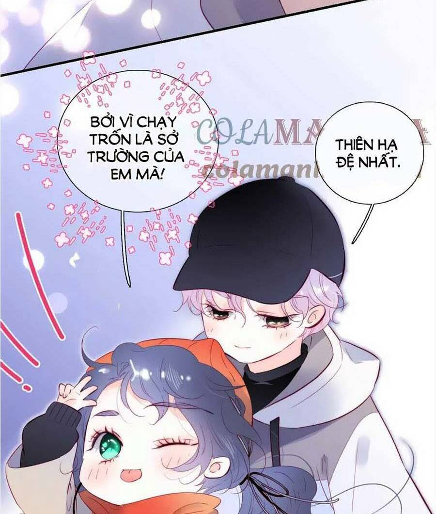 Hoa Bỏ Chạy Với Nhím Rồi Chapter 91 - Trang 2