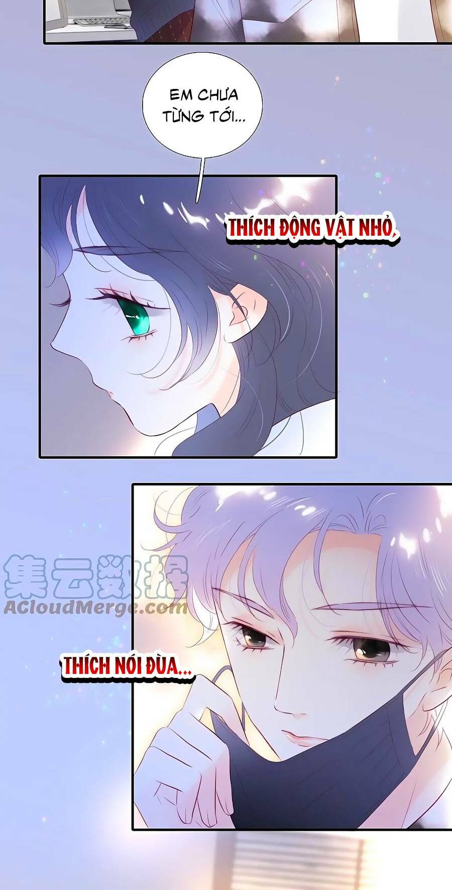 Hoa Bỏ Chạy Với Nhím Rồi Chapter 87 - Trang 2