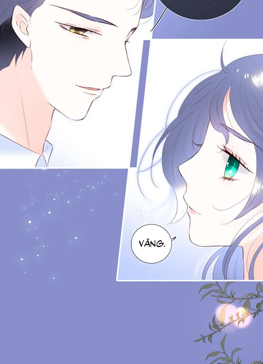 Hoa Bỏ Chạy Với Nhím Rồi Chapter 84 - Trang 2