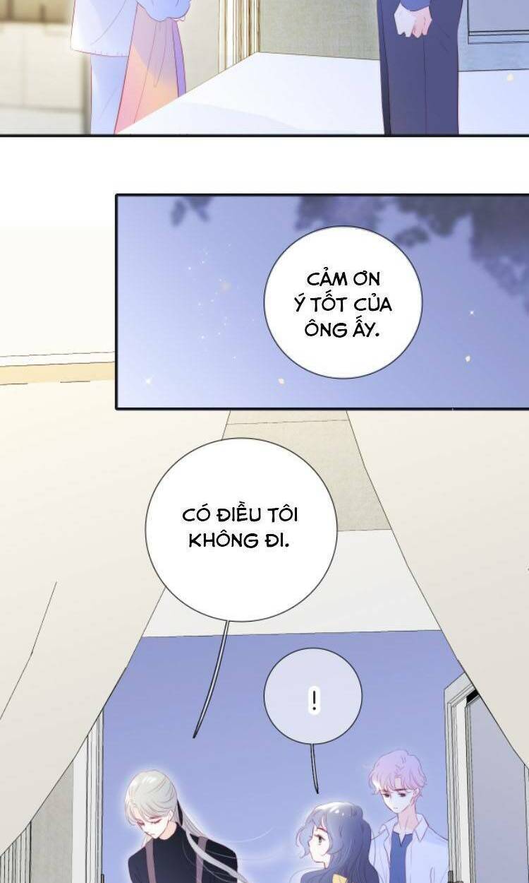 Hoa Bỏ Chạy Với Nhím Rồi Chapter 71 - Trang 2