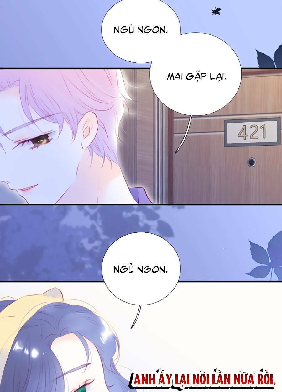 Hoa Bỏ Chạy Với Nhím Rồi Chapter 67 - Trang 2