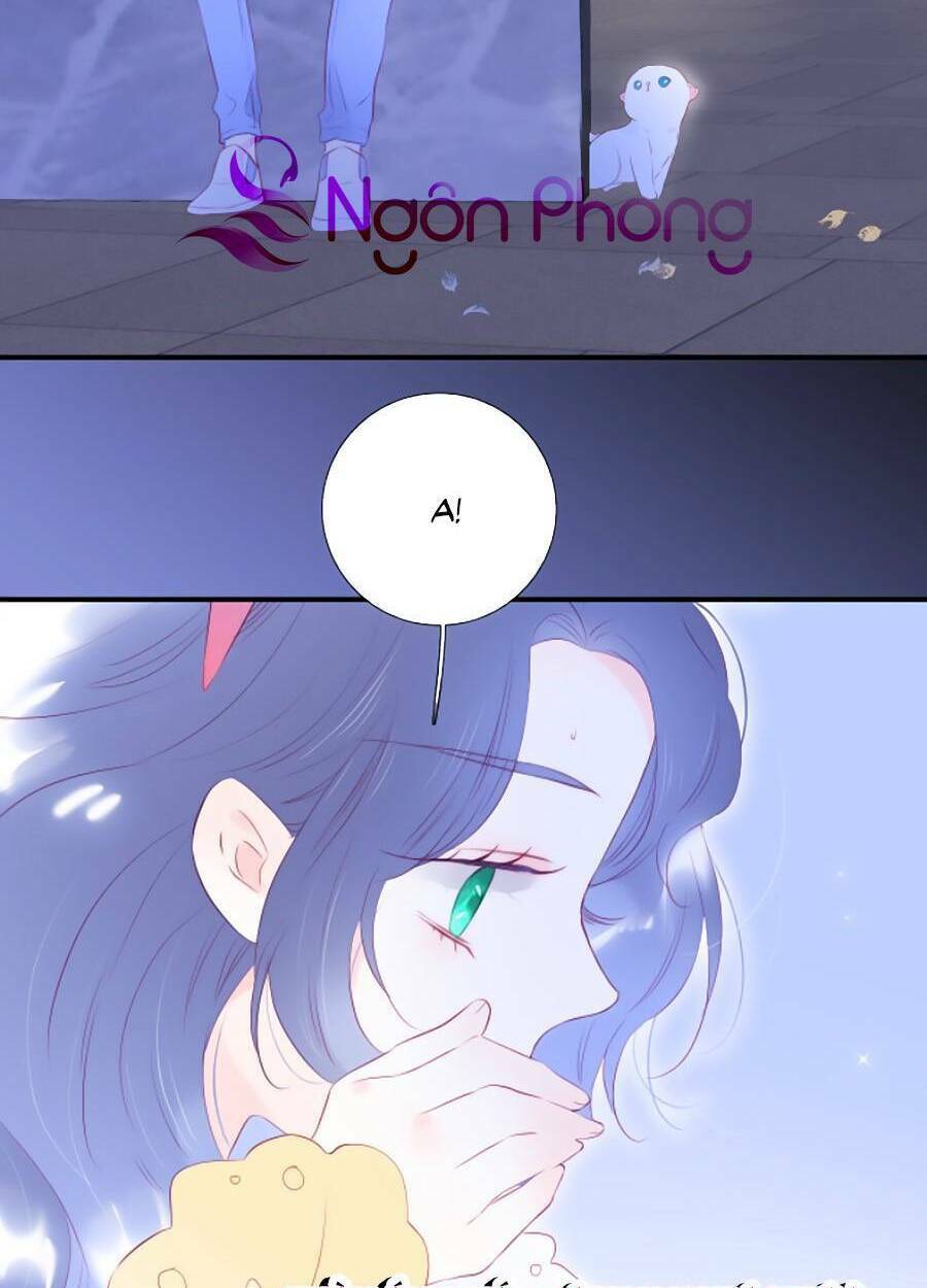 Hoa Bỏ Chạy Với Nhím Rồi Chapter 58 - Trang 2