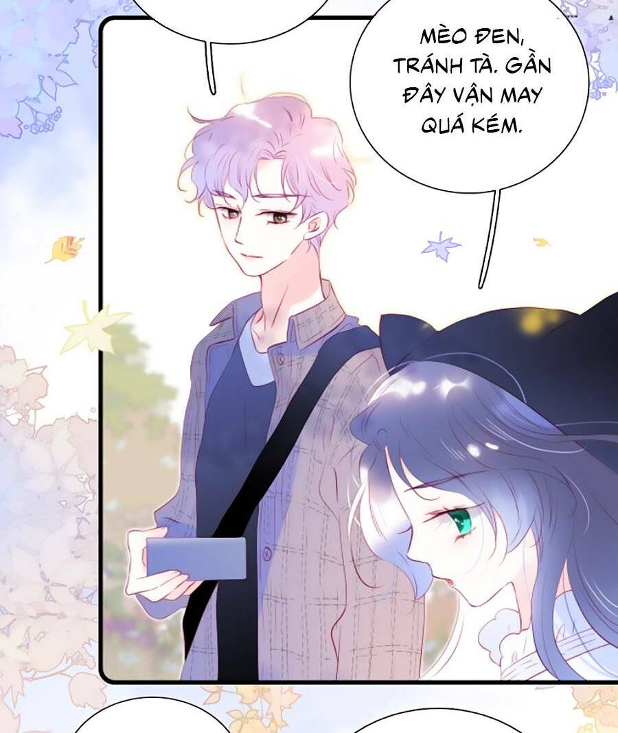 Hoa Bỏ Chạy Với Nhím Rồi Chapter 47 - Trang 2